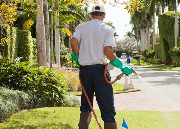About Craddockville VA Pest Control